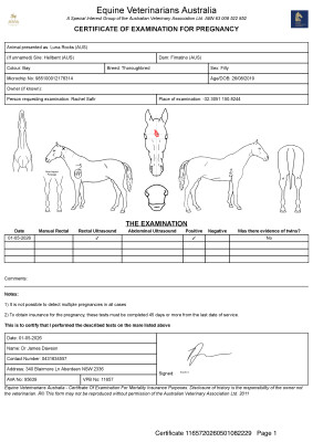 Pregnancy Certificate for Lot 108