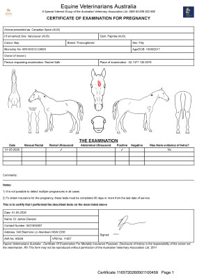 Pregnancy Certificate for Lot 110