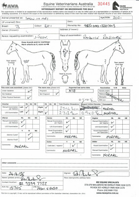 Breeding Report for Lot 7