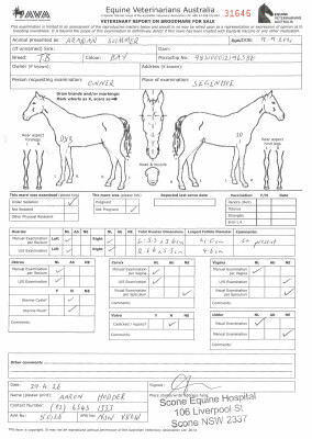 Breeding Report for Lot 32