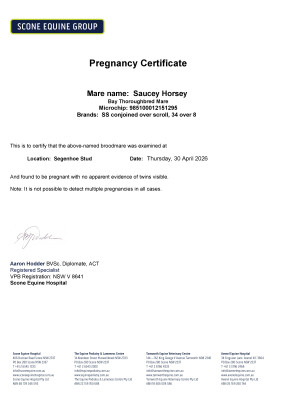 Pregnancy Certificate for Lot 3