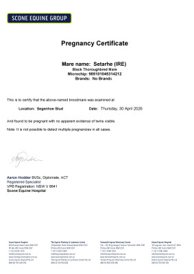 Pregnancy Certificate for Lot 5