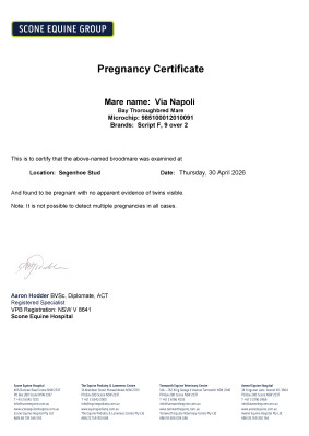 Pregnancy Certificate for Lot 20