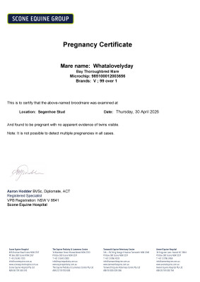 Pregnancy Certificate for Lot 22