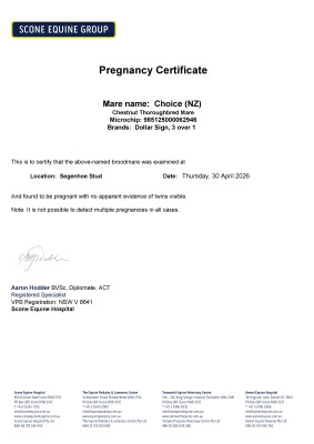Pregnancy Certificate for Lot 43