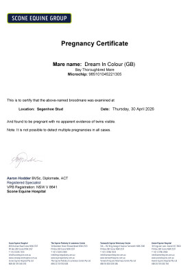 Pregnancy Certificate for Lot 52