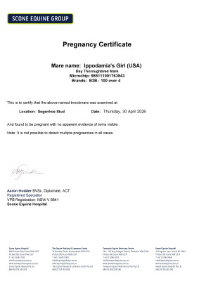 Pregnancy Certificate for Lot 73