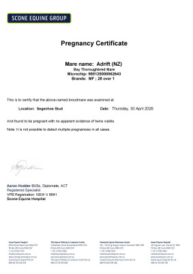 Pregnancy Certificate for Lot 106
