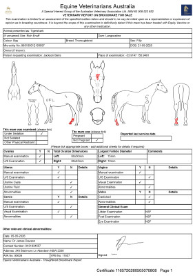 Breeding Report for Lot 17