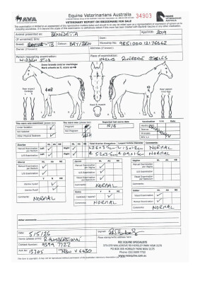 Breeding Report for Lot 35