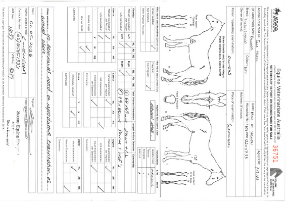 Breeding Report for Lot 54