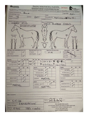 Breeding Report for Lot 111