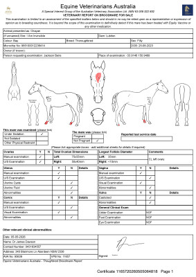 Breeding Report for Lot 115