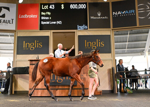 Shinzo filly tops strong Day 1 of the Australian Weanling Sale