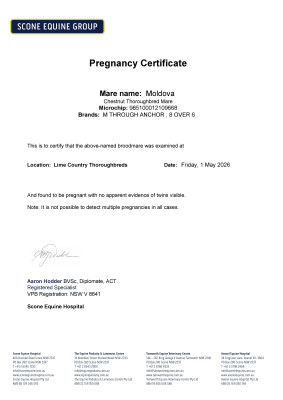 Pregnancy Certificate for Lot 91