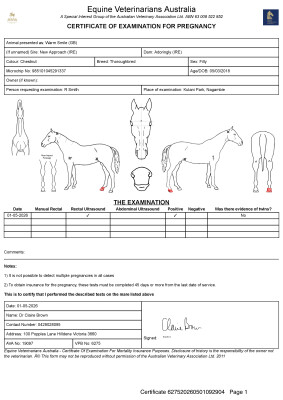 Pregnancy Certificate for Lot 21