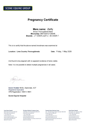 Pregnancy Certificate for Lot 24