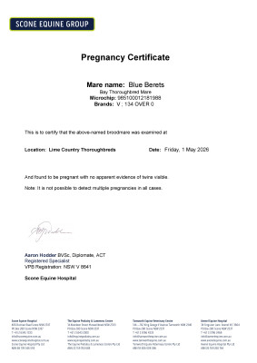 Pregnancy Certificate for Lot 37