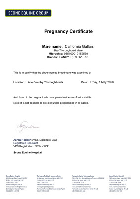 Pregnancy Certificate for Lot 40