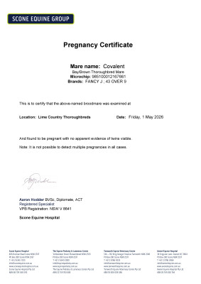 Pregnancy Certificate for Lot 48