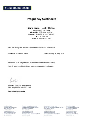 Pregnancy Certificate for Lot 82
