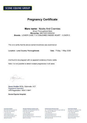 Pregnancy Certificate for Lot 92