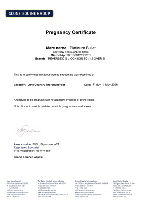 Pregnancy Certificate for Lot 96