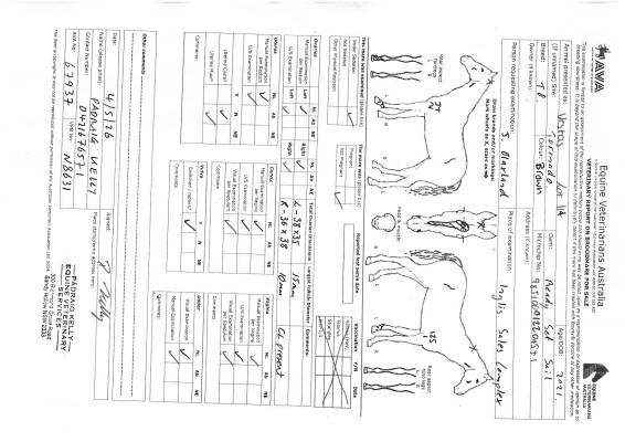 Breeding Report for Lot 114