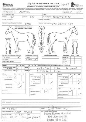 Breeding Report for Lot 33