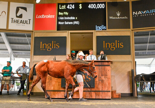 Records re-written at best ever Australian Weanling Sale