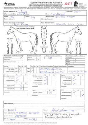 Breeding Report for Lot 71