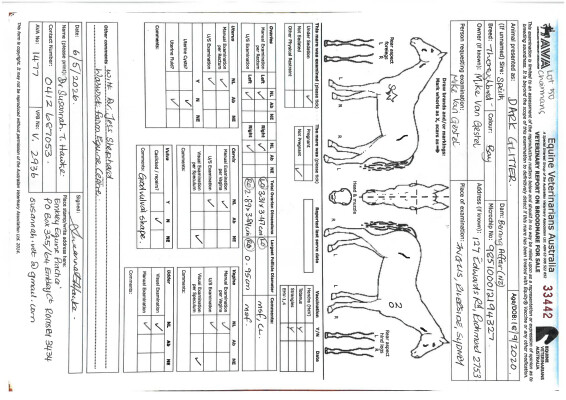 Breeding Report for Lot 50
