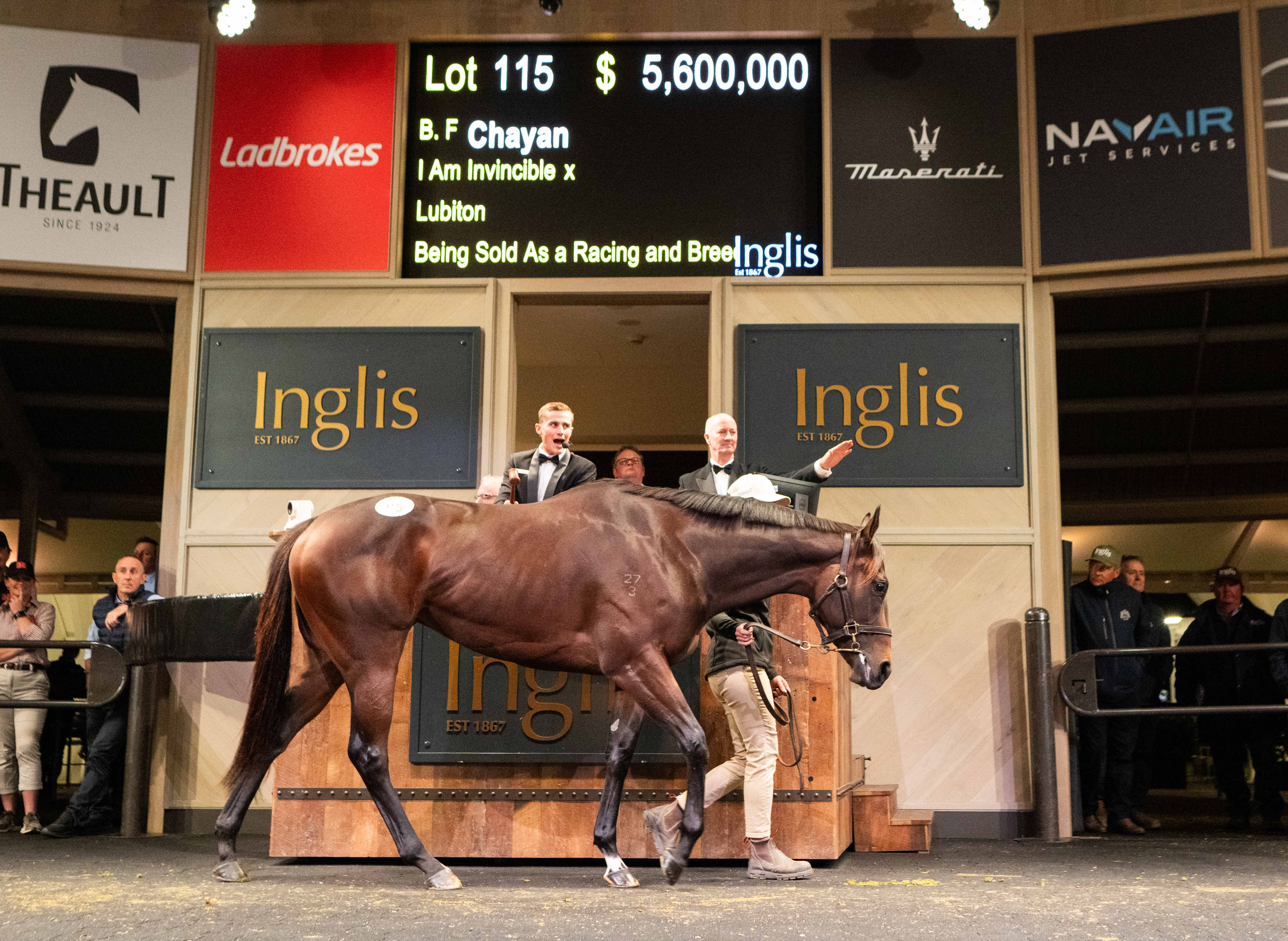 Star 2YO Chayan sells for a record $5.6m at stunning Chairman's Sale