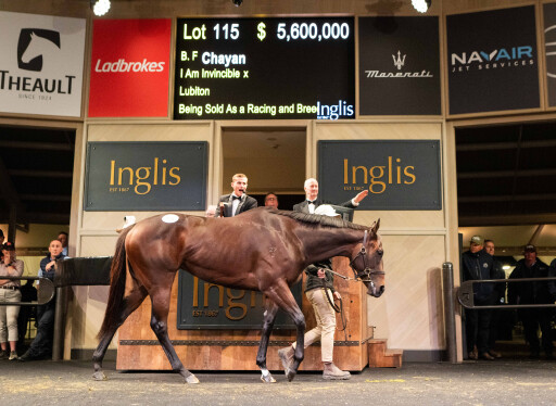 Star 2YO Chayan sells for a record $5.6m at stunning Chairman's Sale