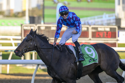 St Gotthard, Pride Of Jenni shine on the Gold Coast