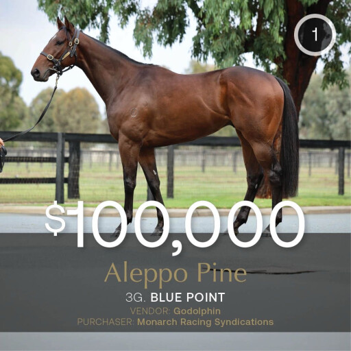 Godolphin gallopers dominate opening session of May (Early) Sale