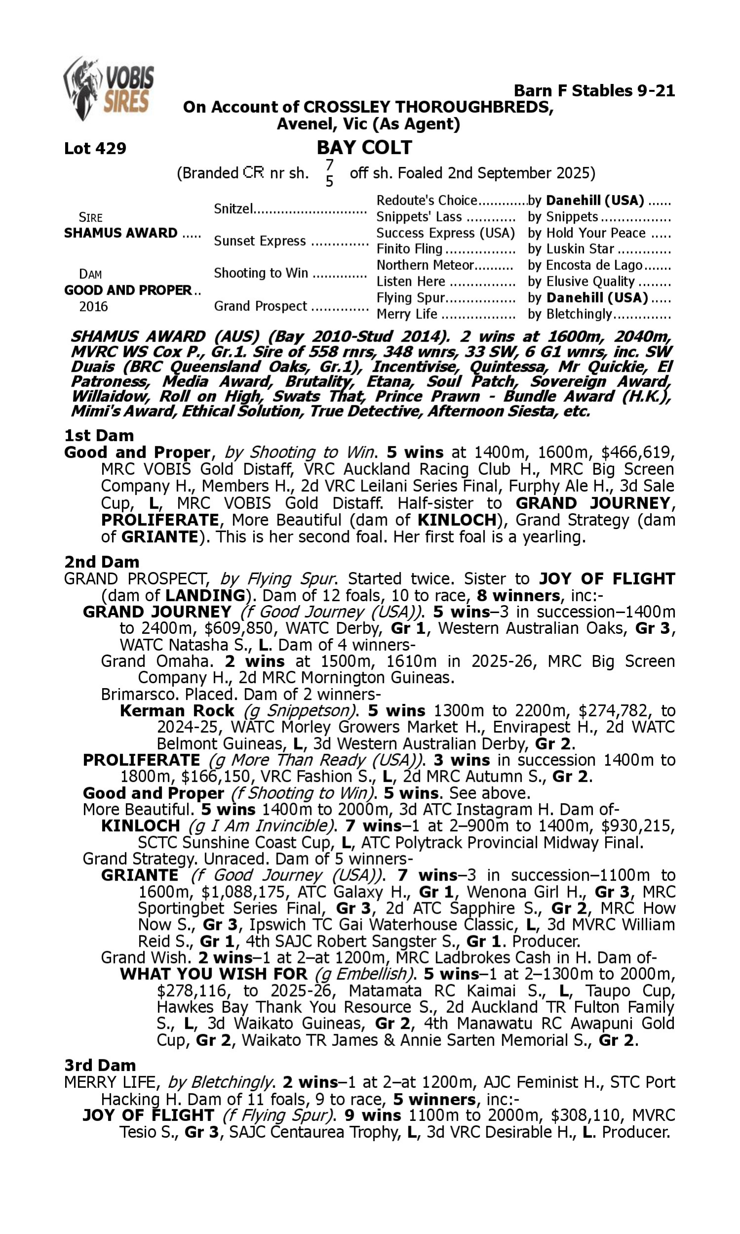 Pedigree for Lot 429 Shamus Award - Good and Proper