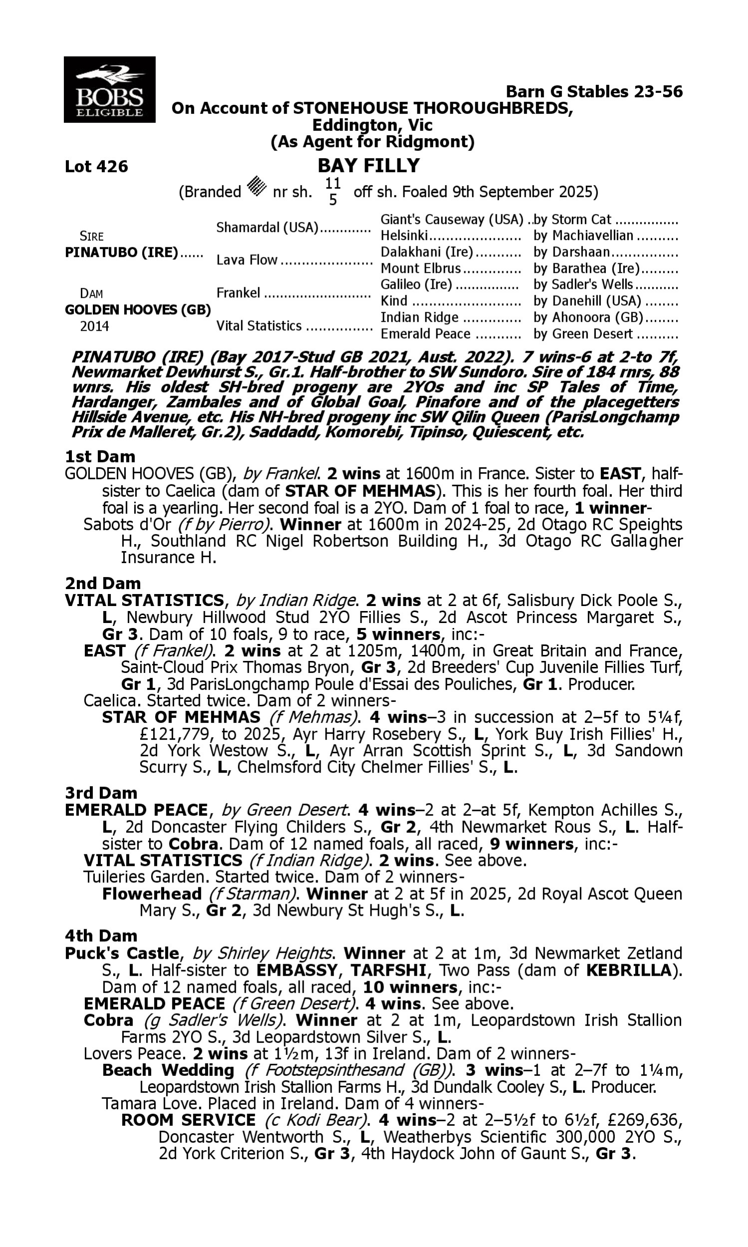 Pedigree for Lot 426 Pinatubo (IRE) - Golden Hooves (GB)