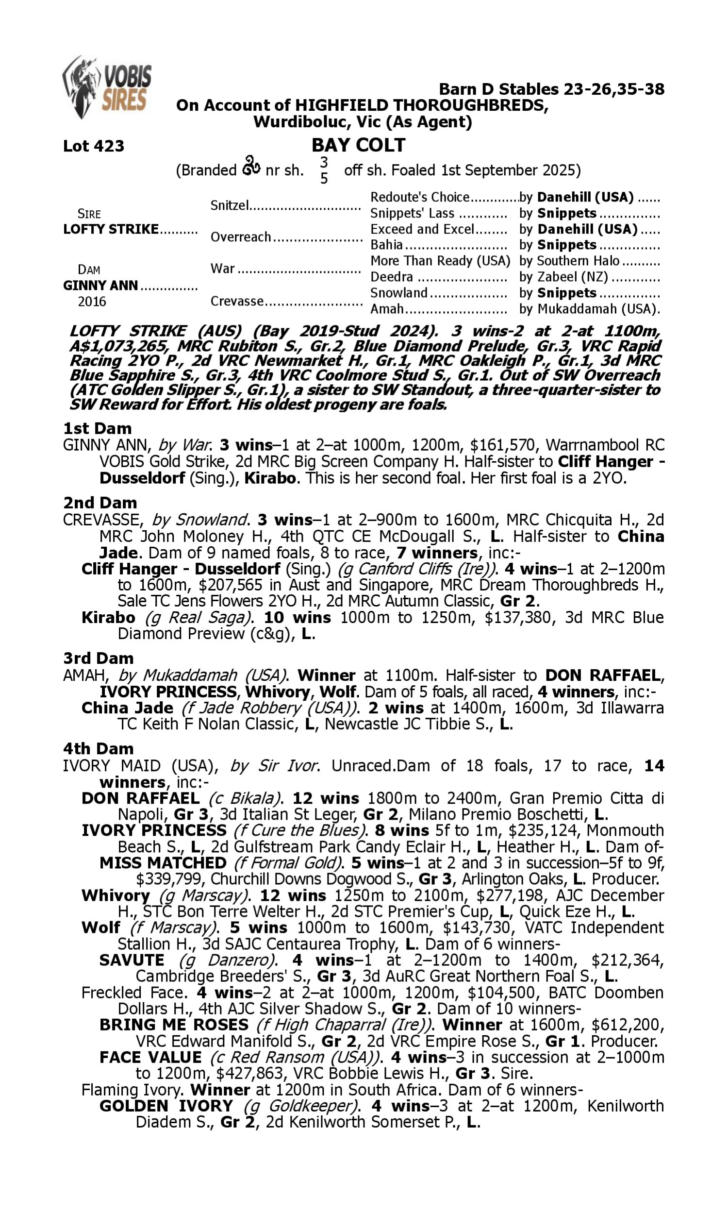 Pedigree for Lot 423 Lofty Strike - Ginny Ann