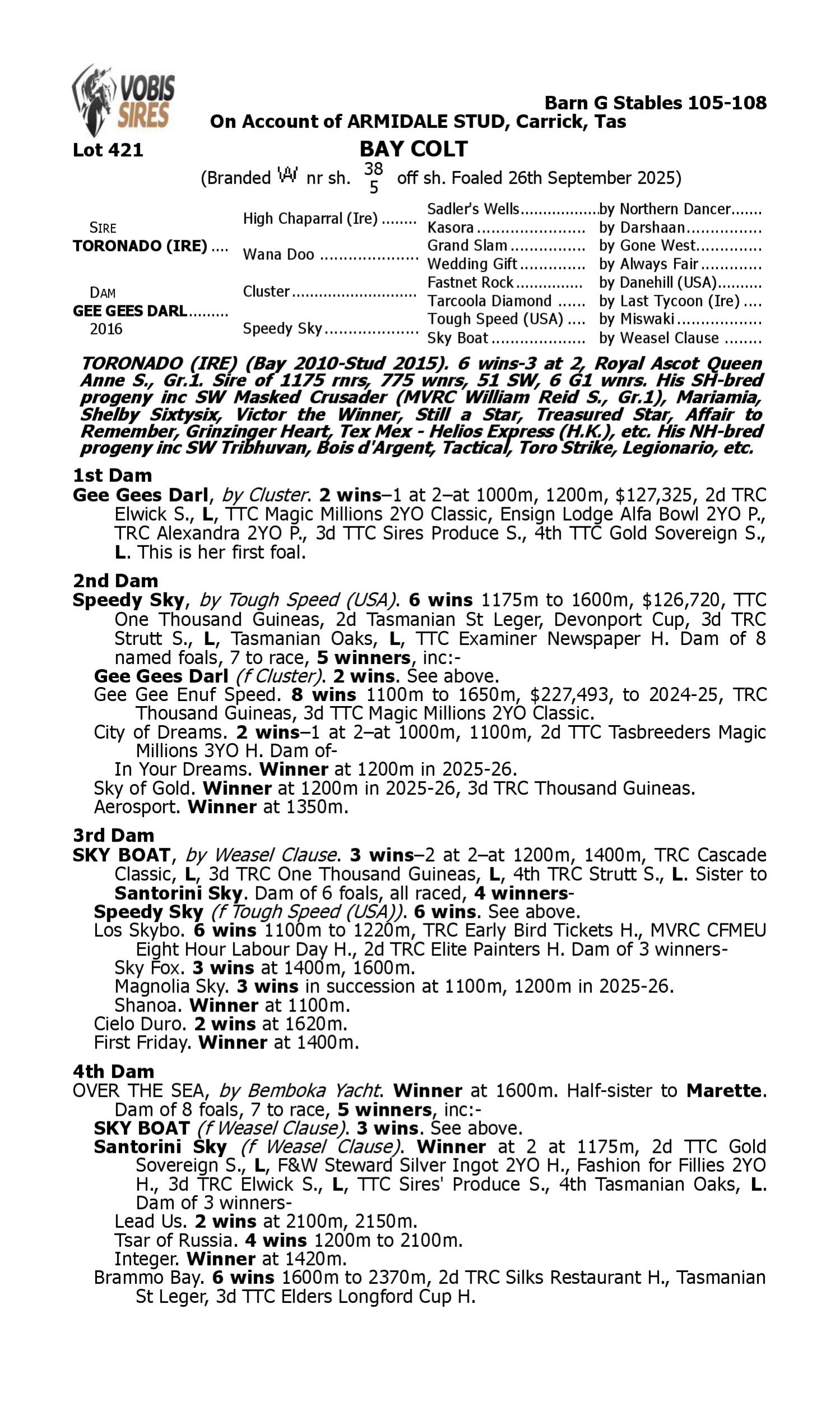 Pedigree for Lot 421 Toronado (IRE) - Gee Gees Darl