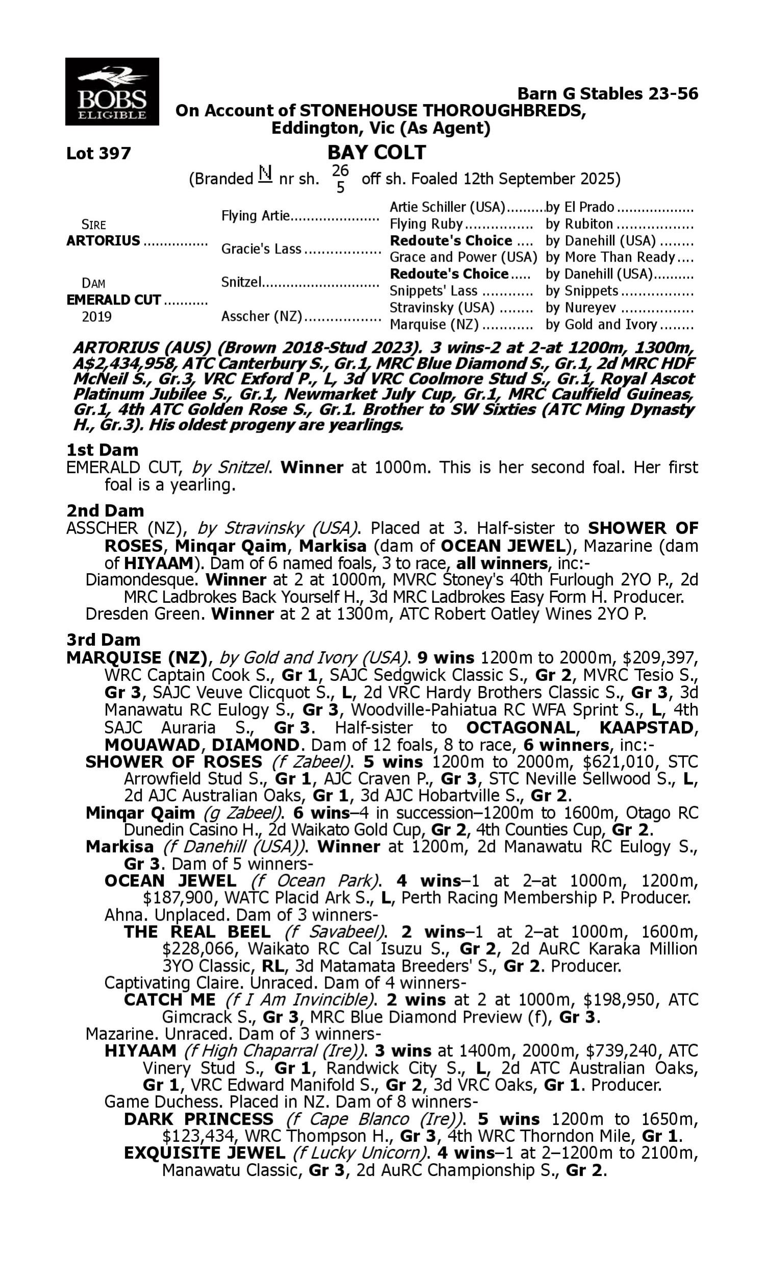Pedigree for Lot 397 Artorius - Emerald Cut