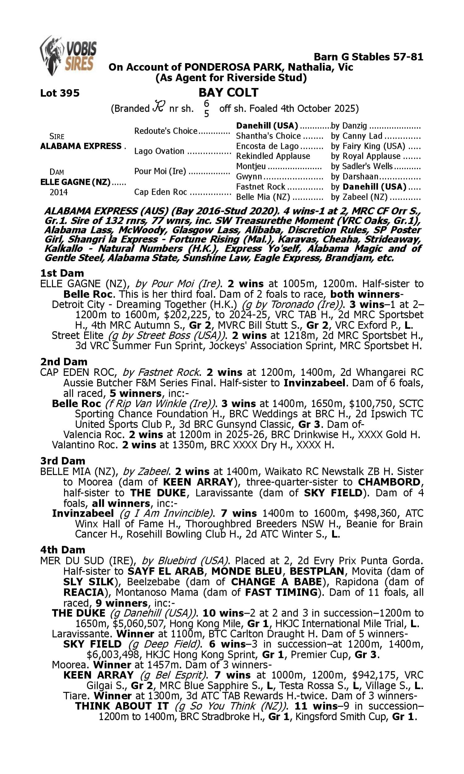 Pedigree for Lot 395 Alabama Express - Elle Gagne (NZ)