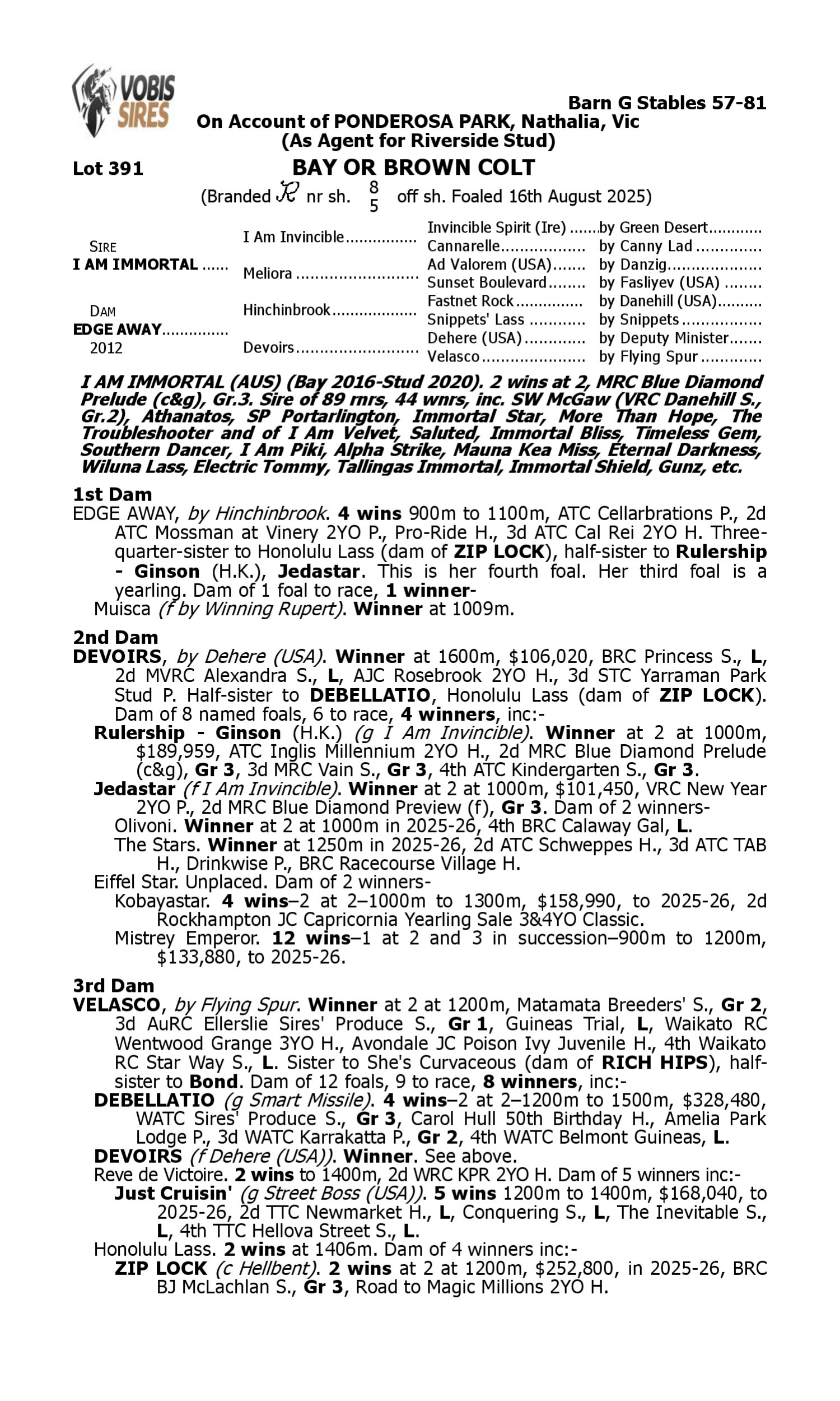 Pedigree for Lot 391 I Am Immortal - Edge Away
