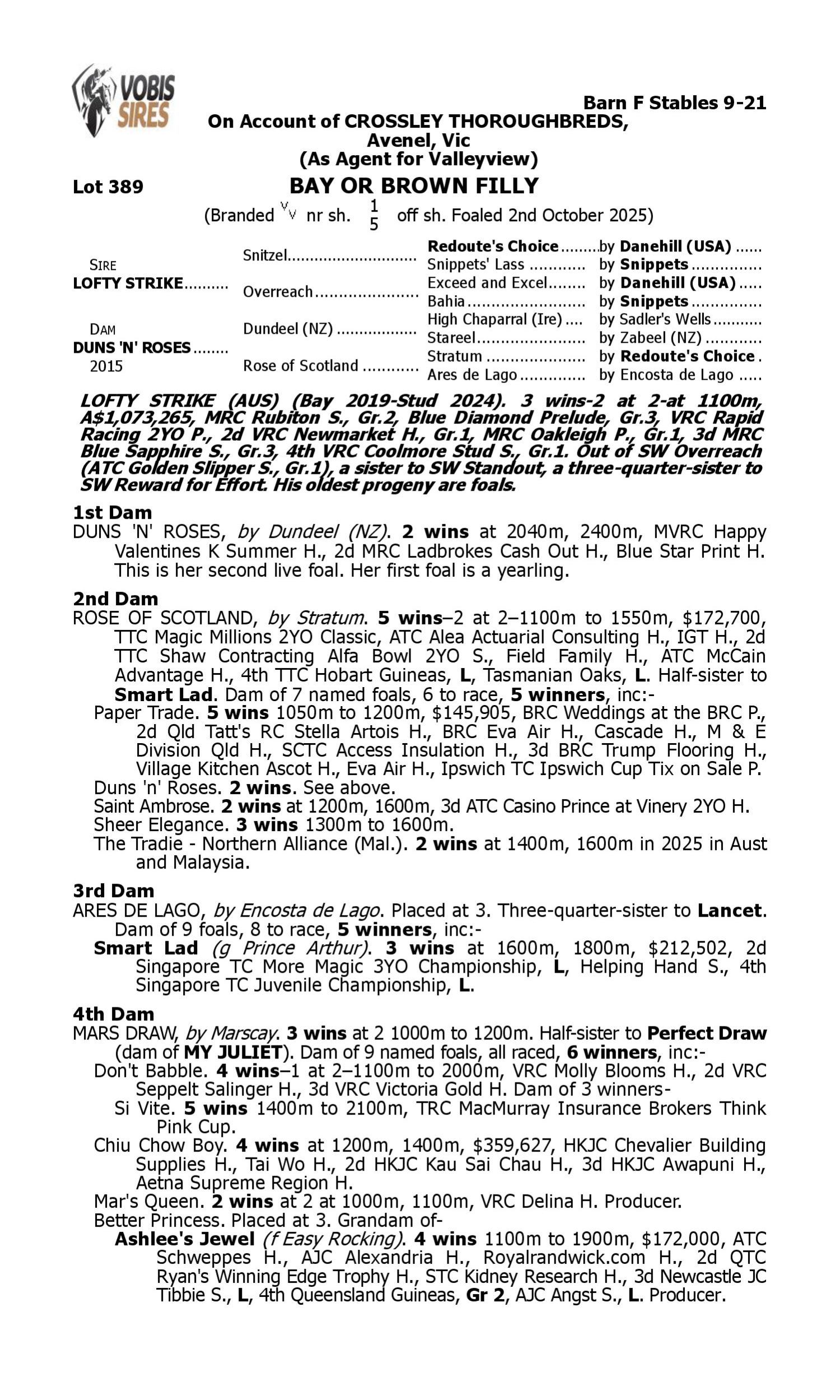 Pedigree for Lot 389 Lofty Strike - Duns 'n' Roses