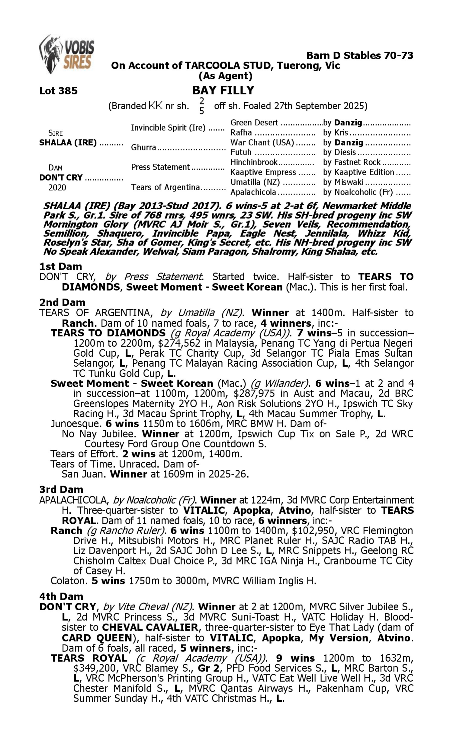 Pedigree for Lot 385 Shalaa (IRE) - Don't Cry