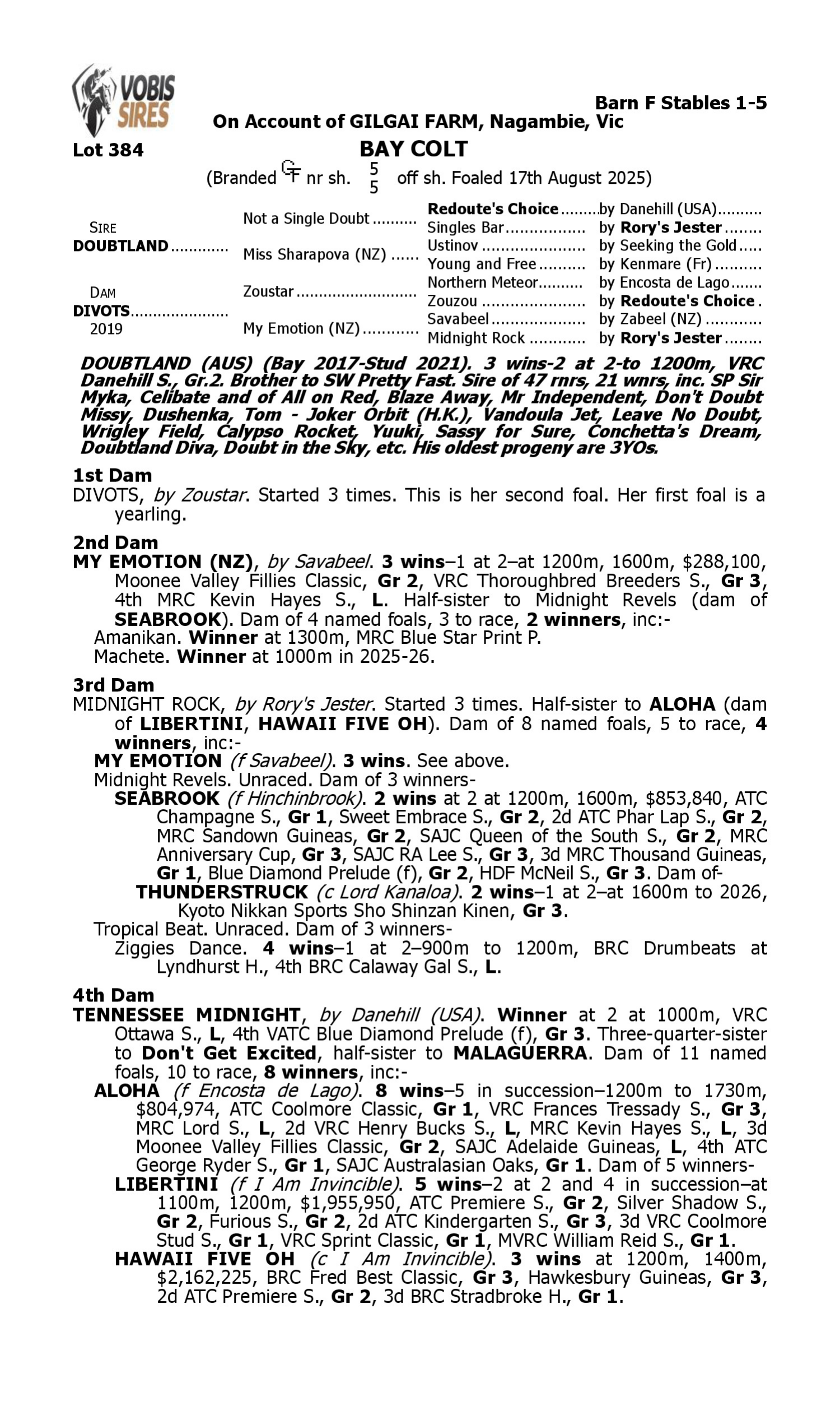 Pedigree for Lot 384 Doubtland - Divots