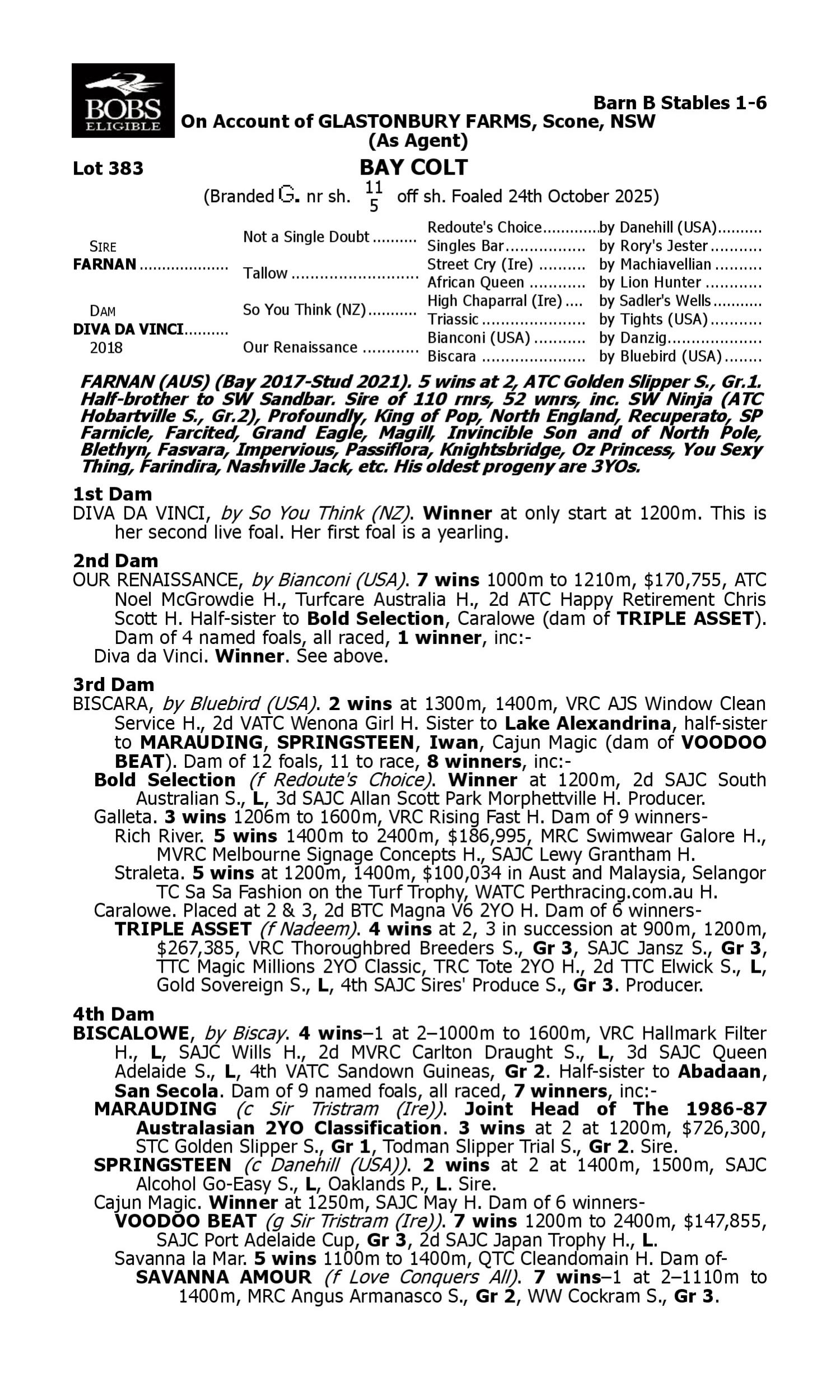 Pedigree for Lot 383 Farnan - Diva da Vinci