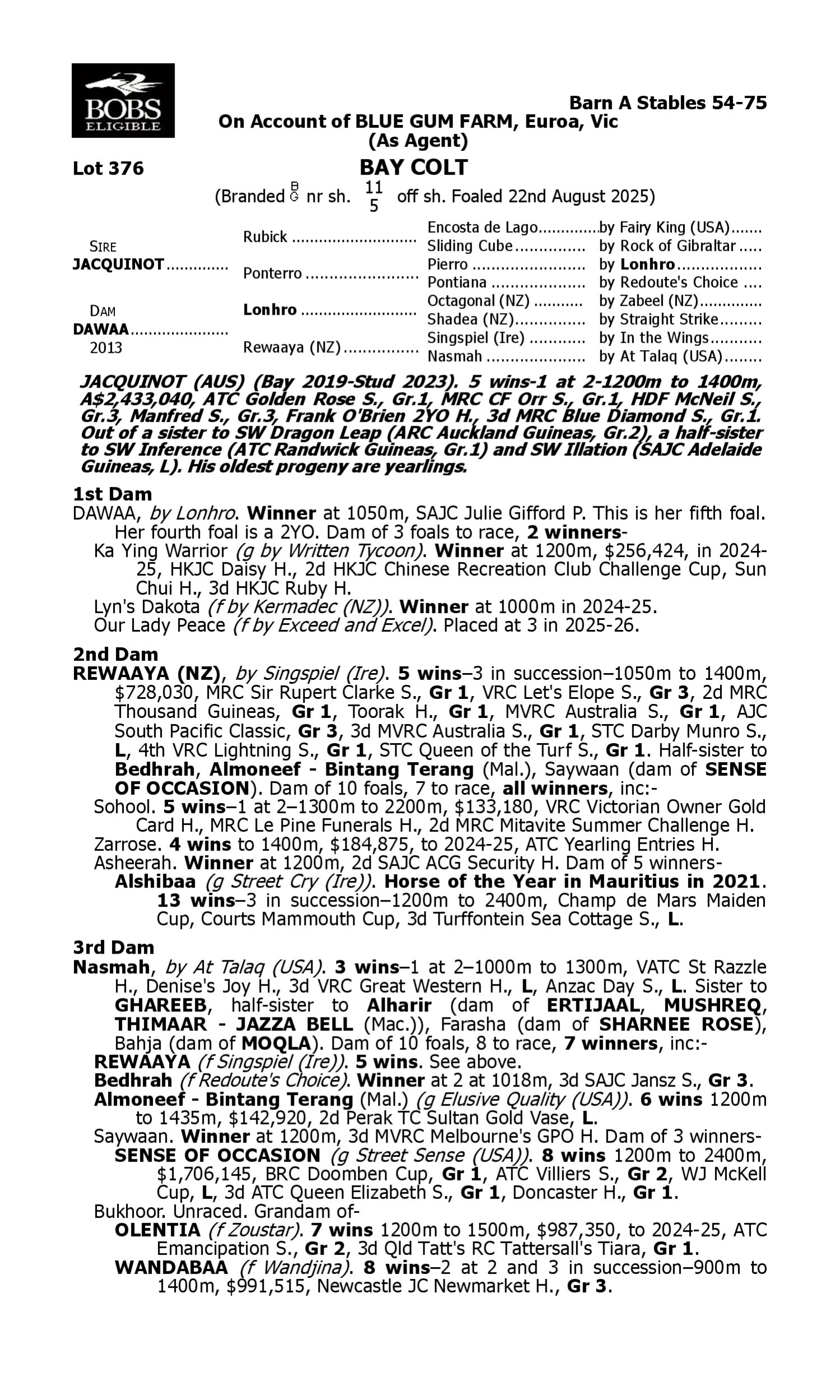 Pedigree for Lot 376 Jacquinot - Dawaa