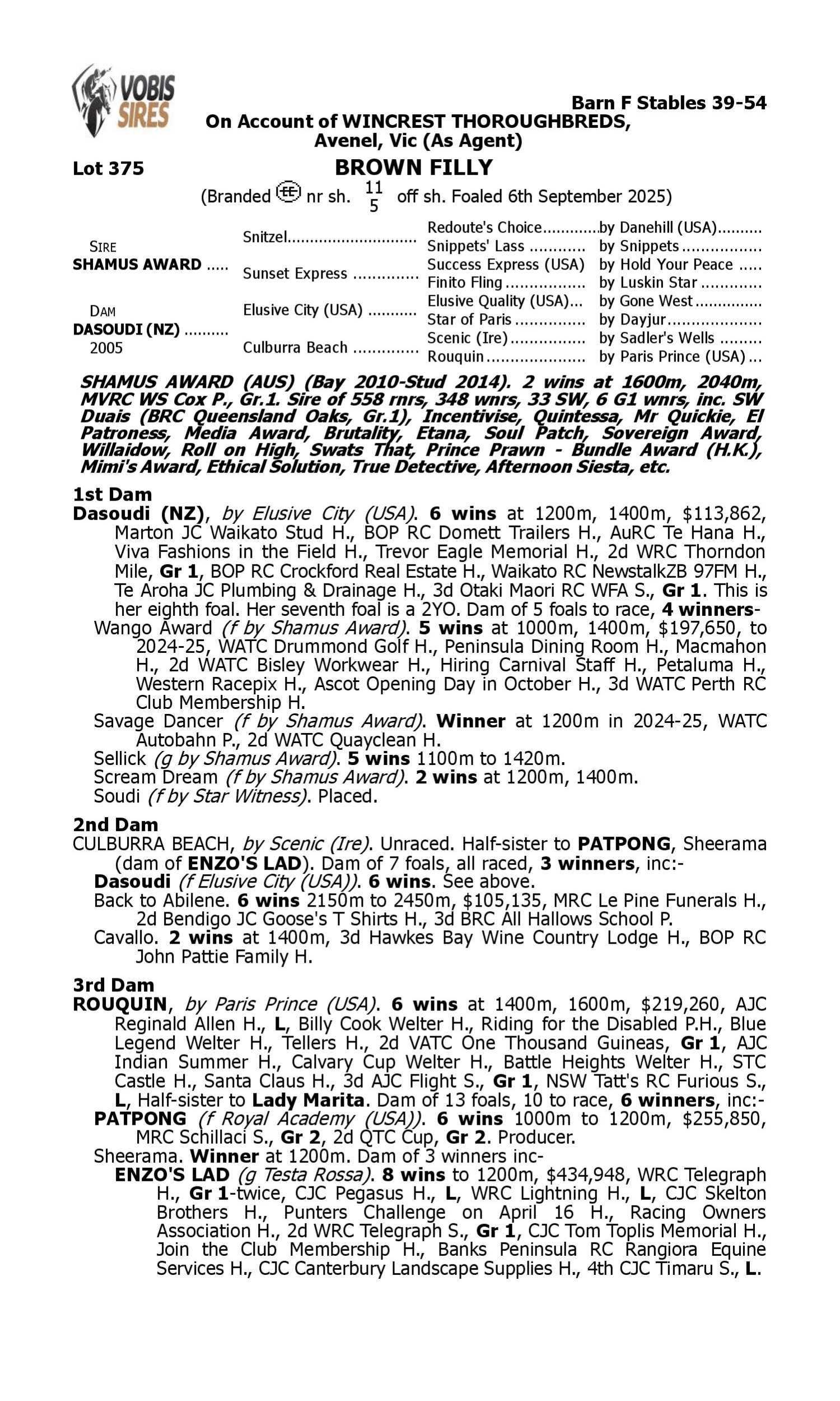 Pedigree for Lot 375 Shamus Award - Dasoudi (NZ)