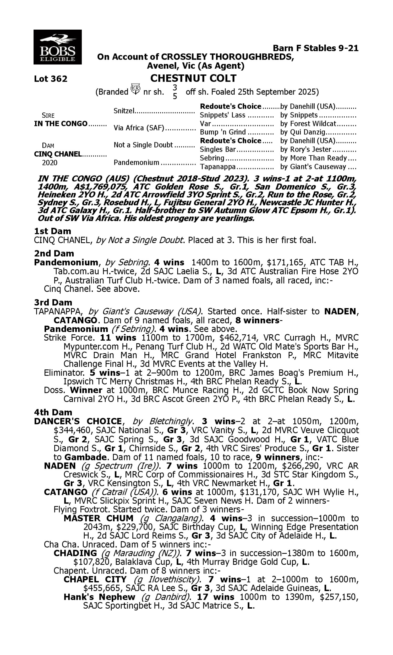 Pedigree for Lot 362 In the Congo - Cinq Chanel